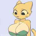 2.59 MB