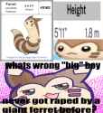 460 KB