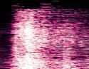 900 KB
