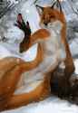 1.07 MB