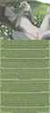 1.2 MB