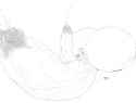 994 KB