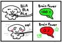 19 KB