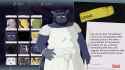 1.57 MB
