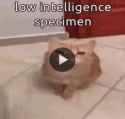 147 KB