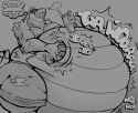 2.53 MB
