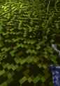 1.36 MB