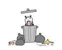 22 KB