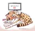 56 KB