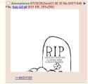 17 KB