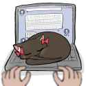 51 KB