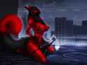 1.02 MB