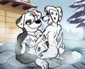 1.46 MB