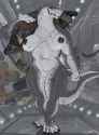 959 KB