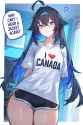 2.7 MB