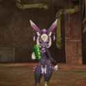 2.89 MB