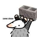139 KB