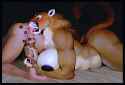 492 KB