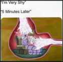270 KB