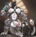 764 KB