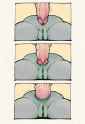 1010 KB
