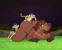 981 KB