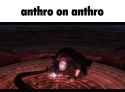 3.08 MB
