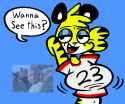 217 KB