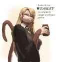 254 KB
