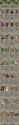 3.1 MB