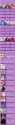 3.79 MB