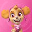 68 KB