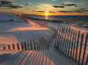 mayflower-beach