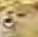 1723749942040988