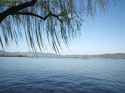IMG20250325093751