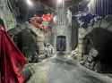 UOR-HHN-32-Dueling-Dragons-Choose-Thy-Fate-house-13[1]