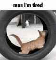 man-i&#039;m-tired-tired