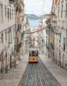 image+1+lisbon+copy