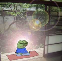 pepe zen
