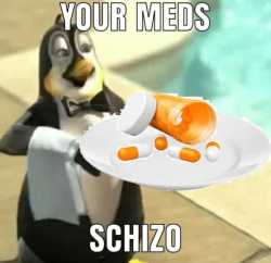 Your meds, schizo.