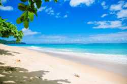 caribbean