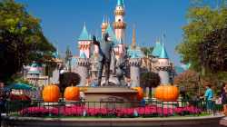 239443-Disneyland-Park