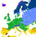 koeppengeiereurope
