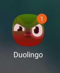 8 KB