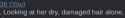 6 KB