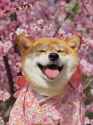 138 KB