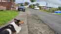 Rule 34 Rule 34 Image