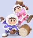 1200px-Ice_Climbers_SSBU