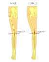 male-female-q-angle-vector-illustration-anatomy-healthy-human-knee-joint-femur-tibia-anterior-front-98154926