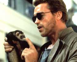 /tv/ - is it normal for Austrian men to carry a ferret wi - Television ...